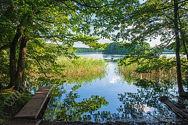 Ufer des Krüselinsees/Feldberger Seenlandschaft
