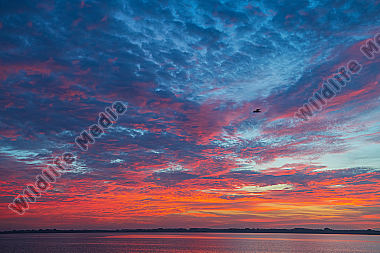 Sonnenuntergang über der Ostsee
