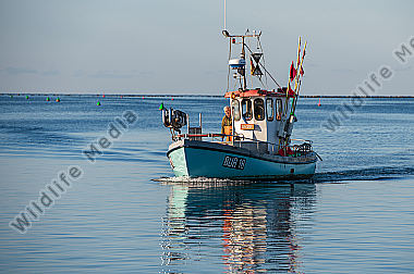 Fischkutter bei der Einfahrt in den Hafen/Ostsee