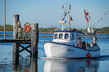 Fischkutter bei der Einfahrt in den Hafen/Ostsee