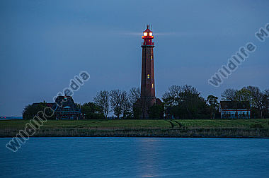 Leuchtturm Flügge auf der Insel Fehmarn/Ostsee am Abend
