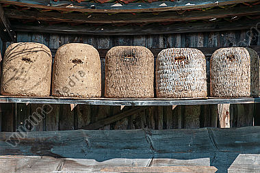 Bienenstand in der Heide Lüneburger Heide