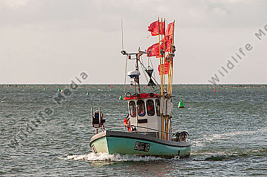 Fischkutter bei der Einfahrt in den Hafen/Ostsee