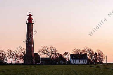 Leuchtturm Flügge auf der Insel Fehmarn/Ostsee am Abend