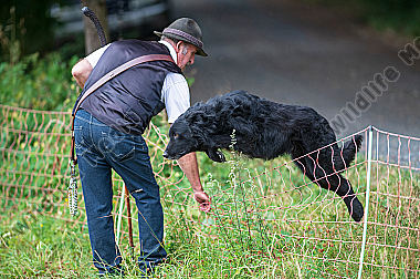 Schäfer mit Hütehund