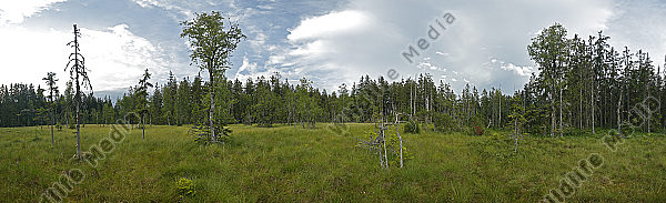 Hochmoor Panorama