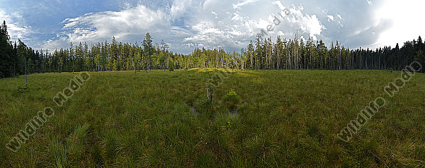 Hochmoor Panorama