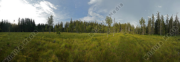 Hochmoor Panorama