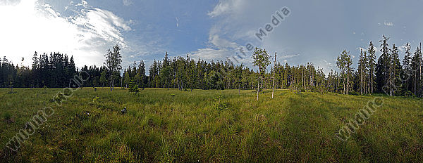Hochmoor Panorama