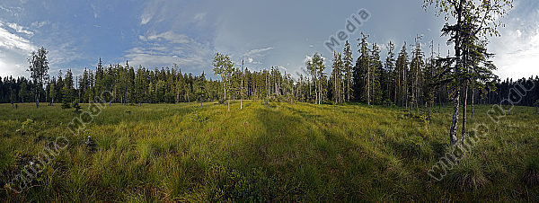 Hochmoor Panorama