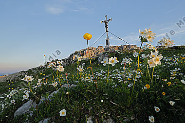 Dürrenstein Gipfel