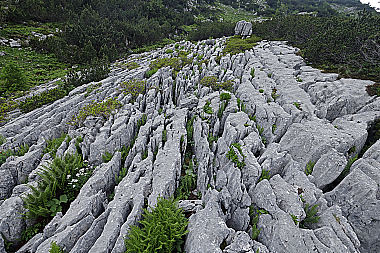 Karst