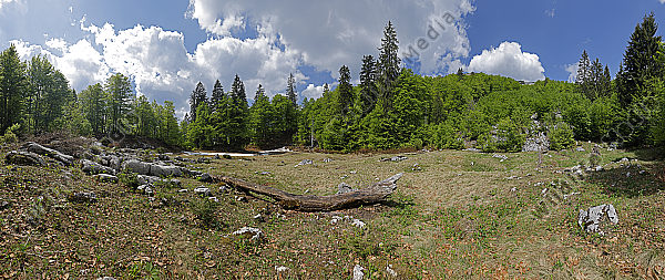 Kleine Bärwies Panorama
