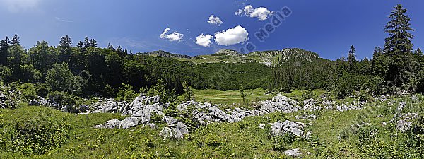 Große Bärwies Panorama