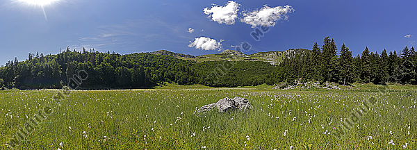 Große Bärwies Panorama