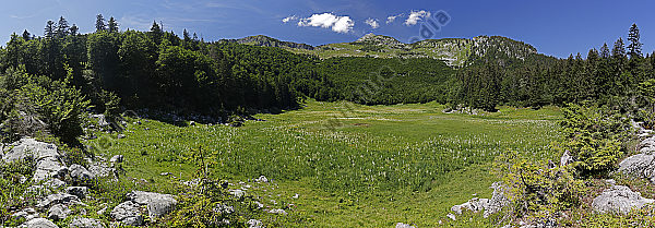 Große Bärwies Panorama
