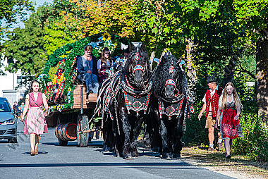 Brauereiwagen mit Kaltblutpferden Epuus