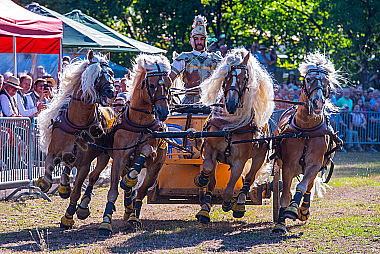 Haflingergespann Epuus römischer Streitwagen