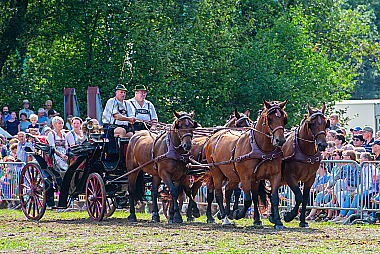Pferdegespann Epuus mit Kutsche