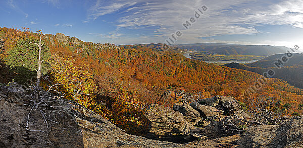 Wachau Dürnstein Herbst Panorama