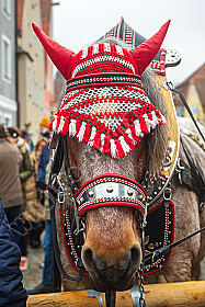 Rossmarkt in Berching