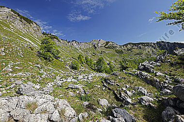 Dürrenstein