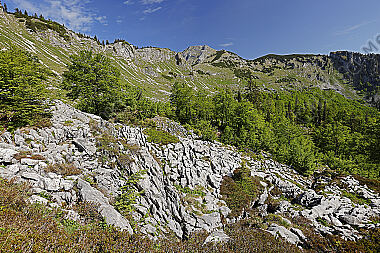 Dürrenstein