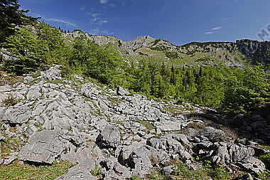 Dürrenstein