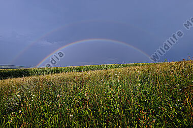 Regenbogen