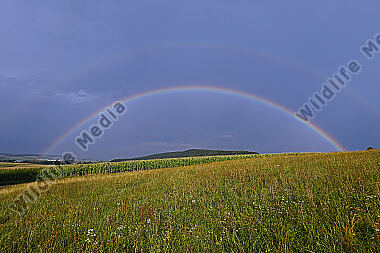 Regenbogen