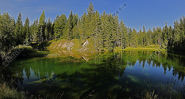 Weißenbachsee Panorama