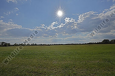 Pischelsdorfer Fischawiesen