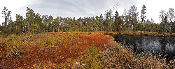Hochmoor Panorama