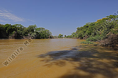 Pantanal Landschaft