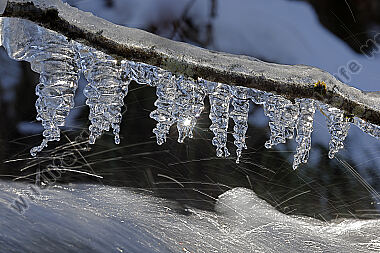 Eiszapfen im Gegenlicht