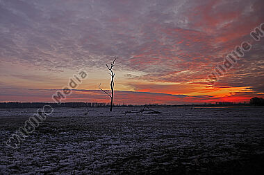 Sonnenaufgang in der Puszta