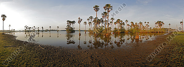 Savannen-Feuchtgebiet Llanos Panorama