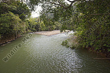 Regenwaldfluß in Kolumbien