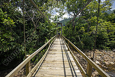 Hängebrücke durch den Regenwald
