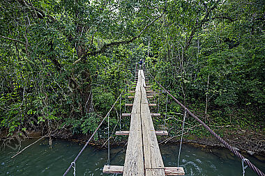 Hängebrücke durch den Regenwald