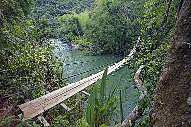 Hängebrücke durch den Regenwald