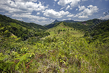 Kolumbien Regenwald