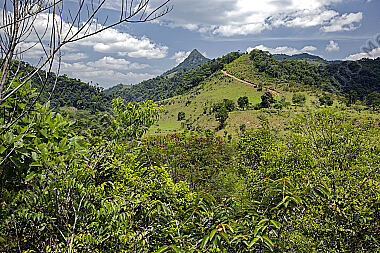Kolumbien Regenwald
