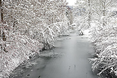Verschneiter Waldbach