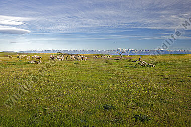 Spanien Landschaft