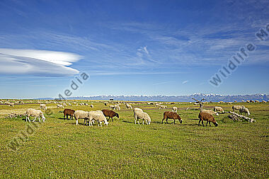 Spanien Landschaft