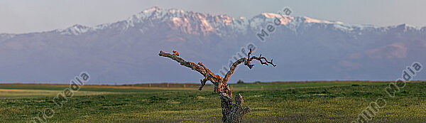 Spanien Landschaft Panorama