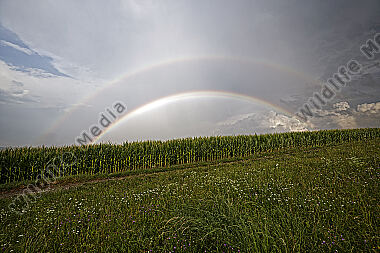 Regenbogen