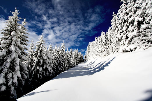 Schnee & Eis